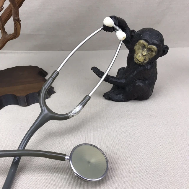 Littmann Vintage Stethoscope 3M Gray Green Taped