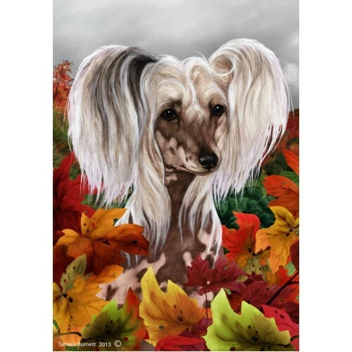 Fall House Flag - Chinese Crested 13069