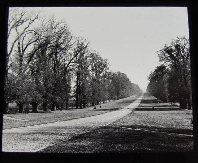GWW Glas magische Laterne Rutsche WINDSOR CASTLE - DER LANGE WANDER C1890