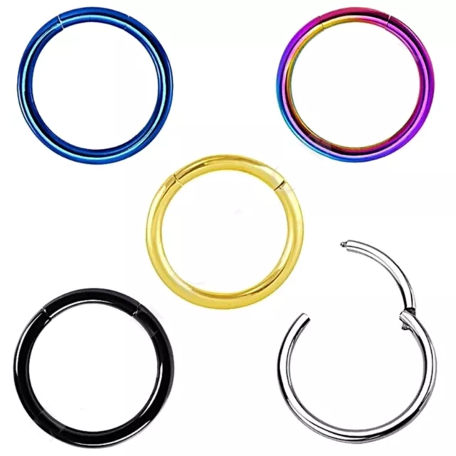 Titanium Seamless Segment Clicker Septum Lip Ear Nose Ring Piercing Ho_d1