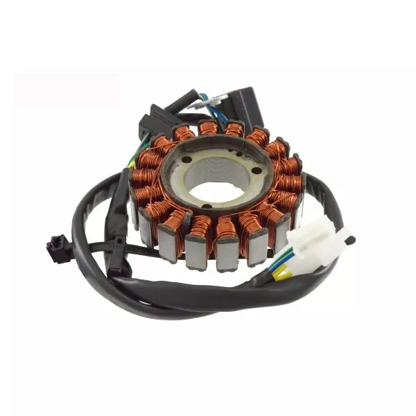 Stator Magnet Daelim S2 Sq Freewing 250 2006 31120-SZ1-9000