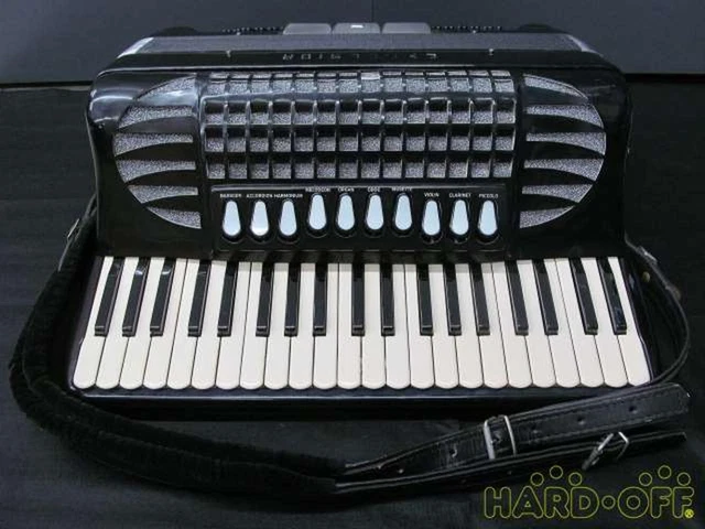 Excelsior shop 911 accordion