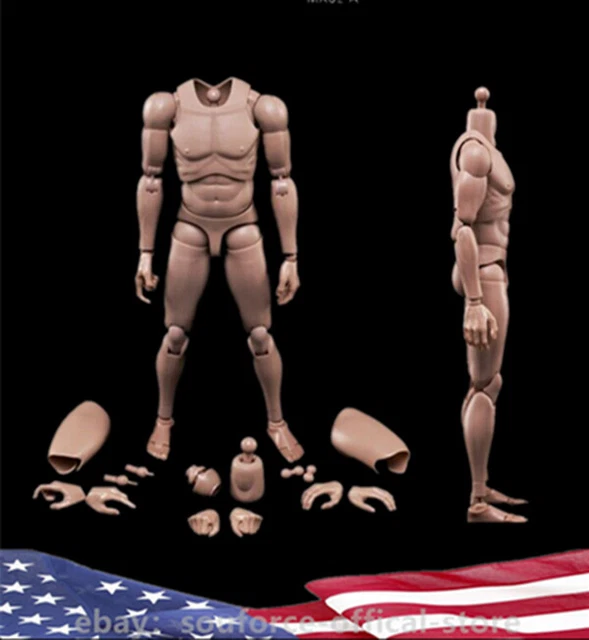 1/6 SCALE MALE Body Model Toy Europe Skin MX02-A Standard Muscle ...