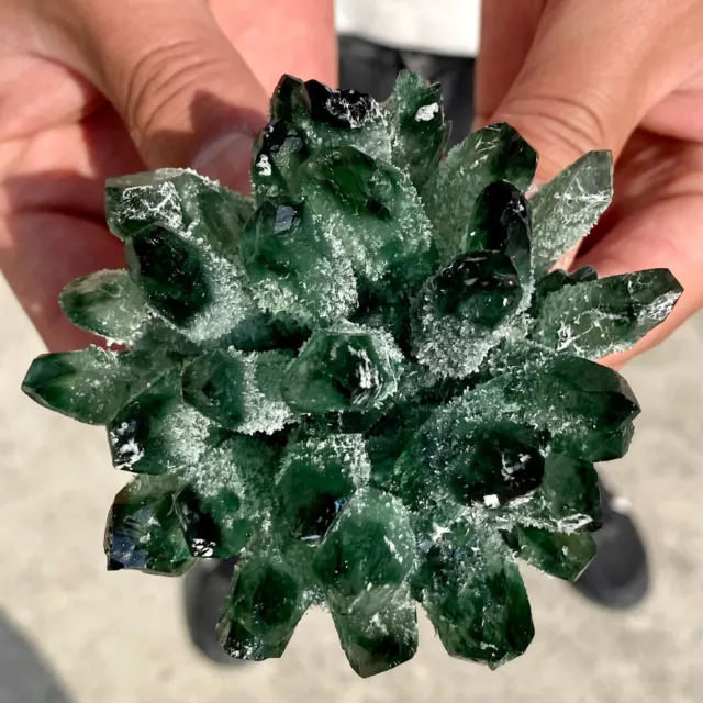 348G New Find Green Phantom Quartz Crystal Cluster Mineral Specimen Healing