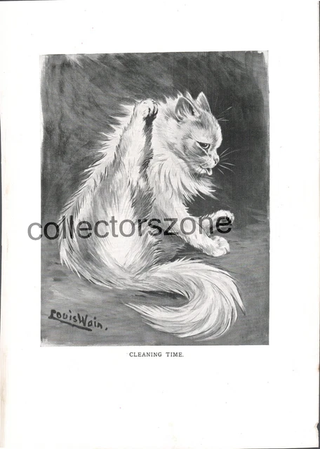 Louis Wain Book Print Cat Cleaning Time 2 sided Take From 1910 Book 9 x 7 Inch