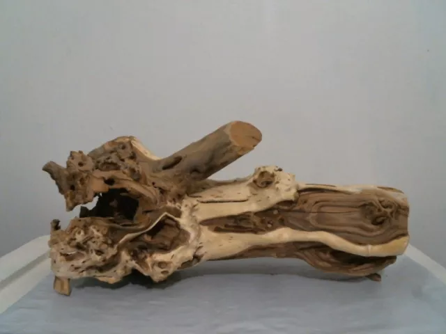 driftwood aquarium terrarium natural 9x15" natural stump decor