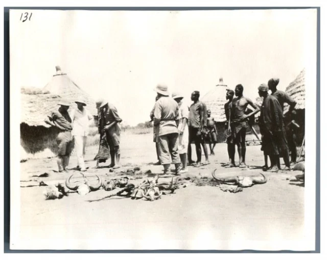 Chad, N&#039;Djoko, Vintage Silver Print Hunting Trophies Photo Series