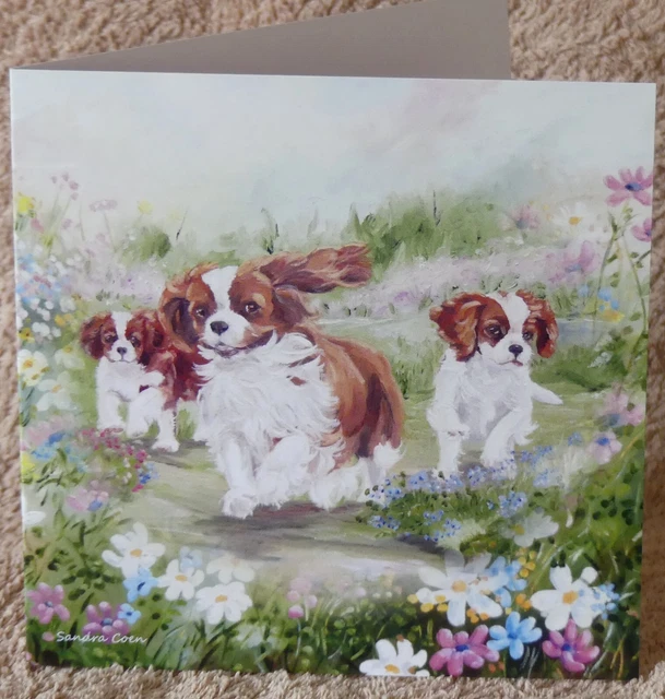 Cavalier King Charles Spaniel Dog Greeting Card 11 Sandra Coen Artist