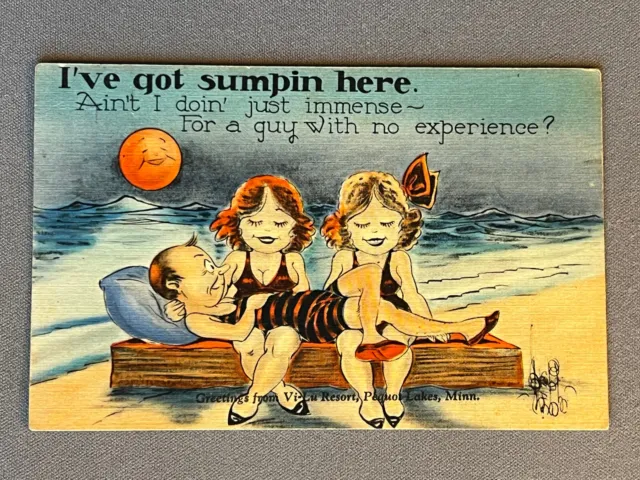 Minnesota, MN, Greetings From Vi-Lu Resort Pequot Lakes, Comic, ca 1940