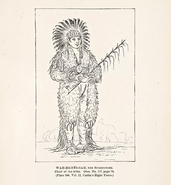 1885 Otoe Indian Chief The Surrounder Indian Engraving G. Catlin Native American