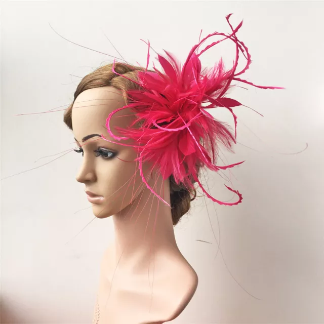 Goose Biot Twisted Mount Peacock Hackle Feather Millinery Hats Fascinator Crafts 3