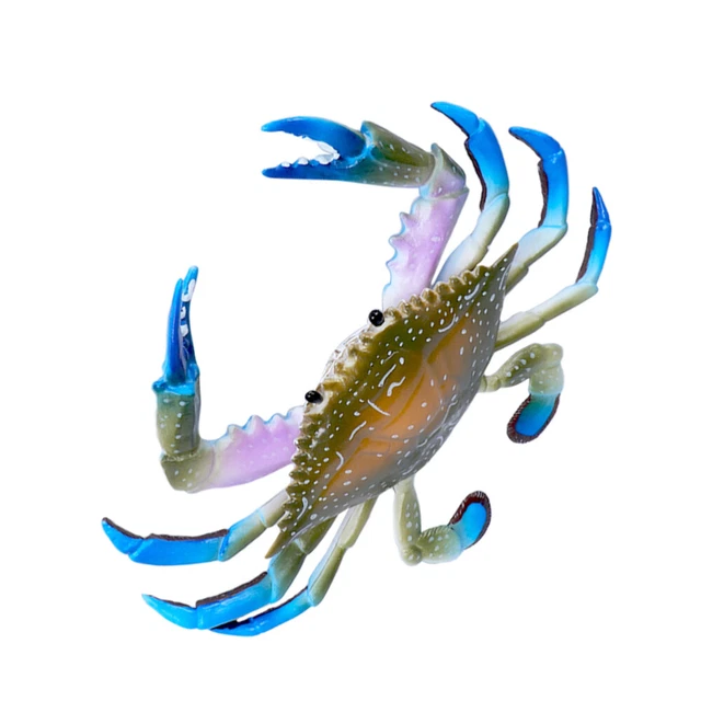 Modèle de Crabe de Soldat Marin Ornements de Bureau Jouet pour enfants - Autre jeux éducatifs et électroniques - Achat & prix Modèle de Crabe de Soldat Marin Ornements de Bureau Jouet pour enfants - Autre jeux éducatifs et électroniques - Achat & prix