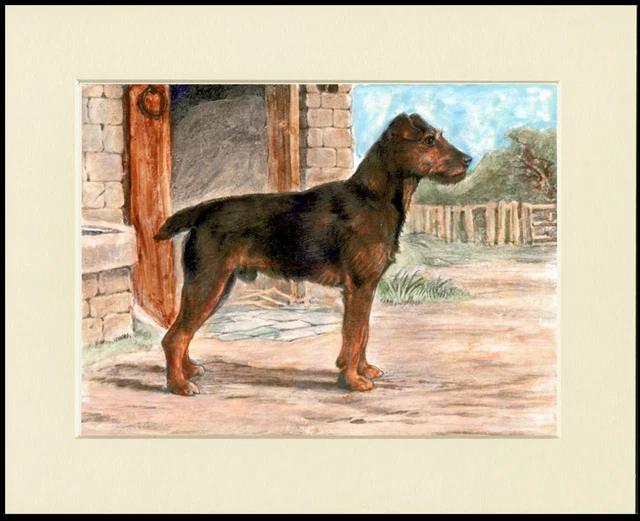 Welsh Terrier Lovely Dog Print Mounted Ready To Frame