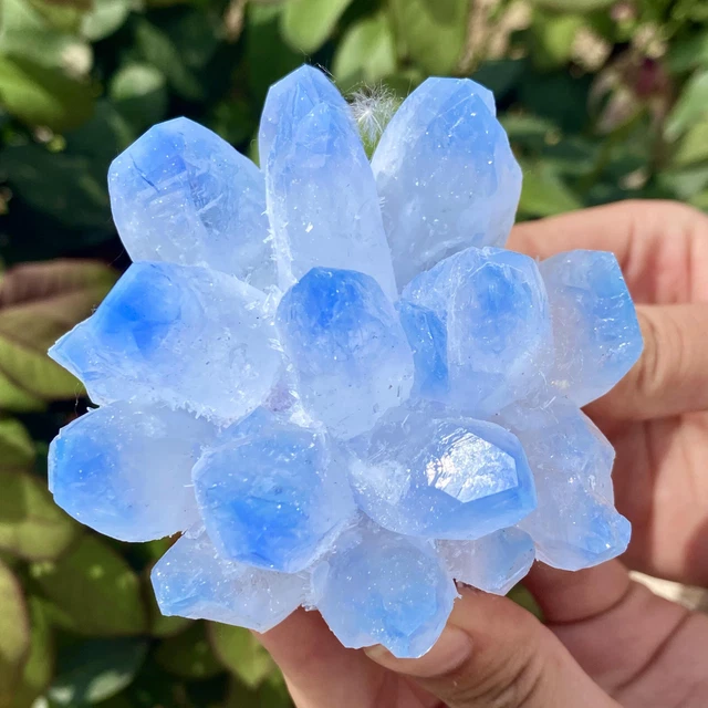 326G New Find sky blue Phantom Quartz Crystal Cluster Mineral Specimen Healing 3