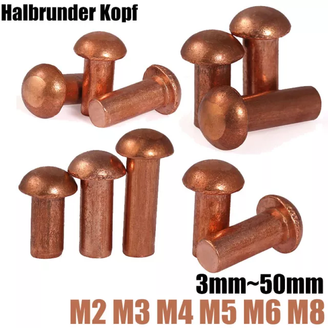 M2 M3 M4 M5 M6 M8 Kupfer Halbrundnieten Nieten Vollnieten Halbrundkopf Niet