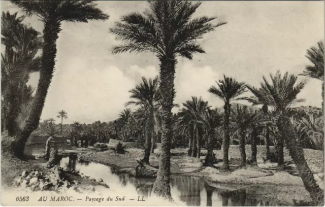 CPA AK MAROC Paysage du Sud (23796)