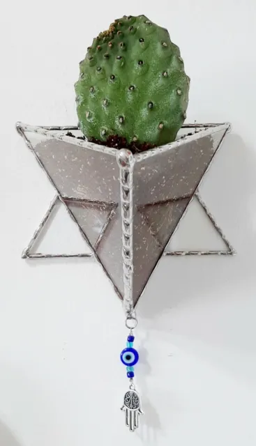 Star of David Stained Glass Terrarium ,Transparent 2 mm Planter For Indoor 3