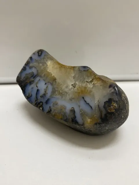 Polished Blue Forest Petrified Wood Agate - Wyoming