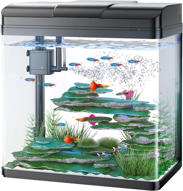 Fish Tank, Glass Aquarium with Air Pump, LED Cool Lights and Filter, Betta Fish