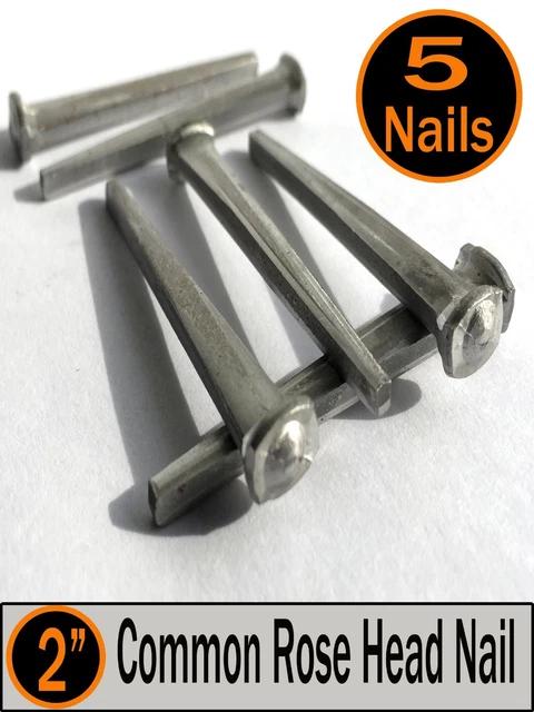 (5) 2" - COMMON ROSE HEAD NAIL  - Antique Vintage Rustic Nails - 6d