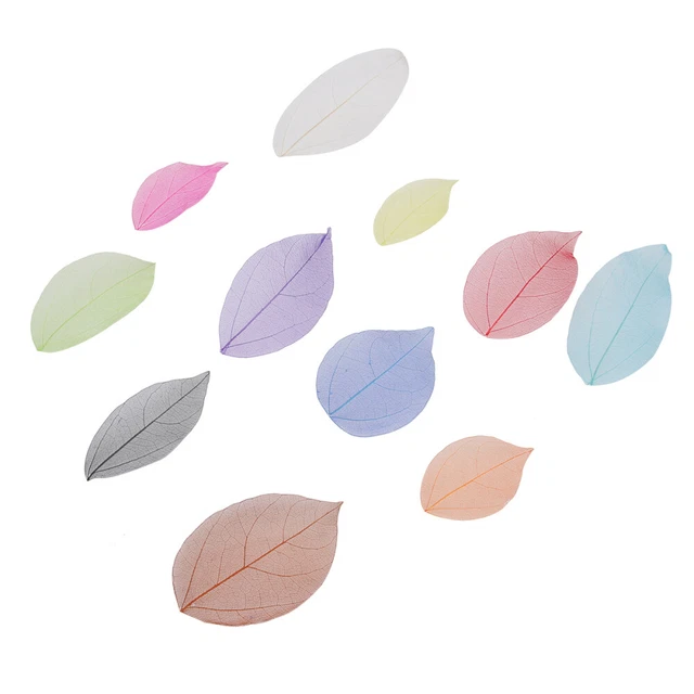100 piezas Hojas de Goma Natural Hojas de Esqueleto Artesanía Hojas Artificiales Decorar
