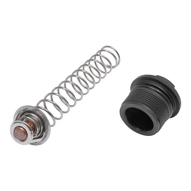 Loner 42002-0024S Stack Flue Sensor Replacement Compatible for Pentair Sta-Rite MasterTemp Max-E