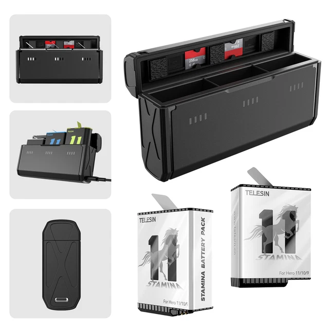 Caja de carga TELESIN baja temperatura carga rápida almacenamiento batería cargador rápido