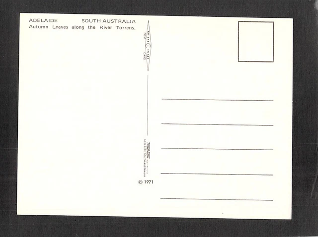 C8320 Australia SA Adelaide River Torrens Trueview postcard 2