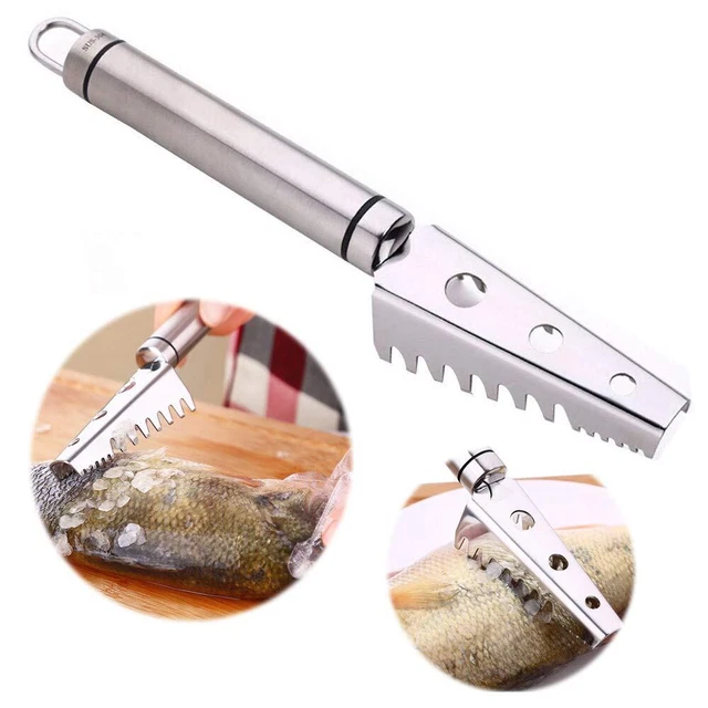 Pez Balanza Raspador Removedor Cocina Acero Inoxidable Suministros Japón