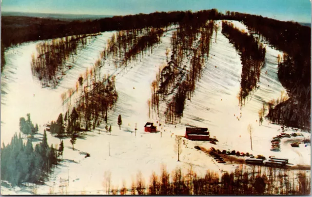 Iron River Michigan MI Brule Mountain Skiing Postcard