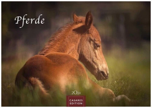 Pferde 2024 S 24x35cm|Kalender
