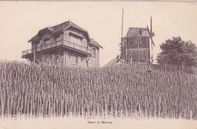CPA 51 Dans la Marne card not located (VERZENAY le Moulin et le Chalet)