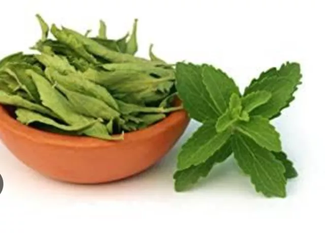 Stevia (Magicleaf) Secchi Foglie (100g Marras Tulasi, Natura Dolcificante