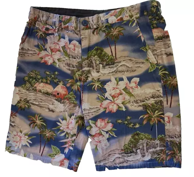 ST GOLIATH Mens Sz 36 W 92cm Cotton Walk Shorts Skate 4 Pockets Tropical Print