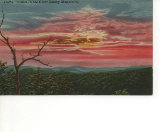 Postcard NC Great Smoky Mountains National Park Sunset F8