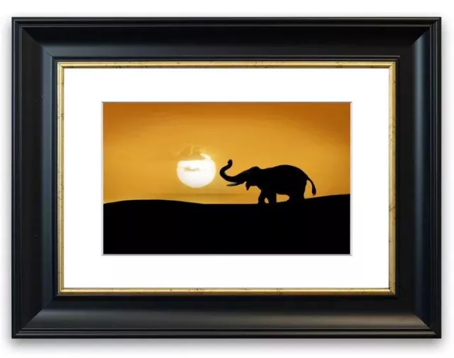 House Additions Safari Elephant Picture Art in Matte Black Frame