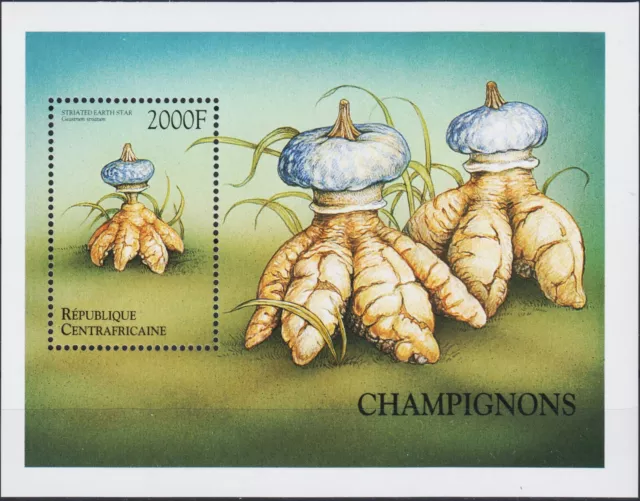 Central African Republic 1999 Mushrooms Fungi Plants Nature m/s MNH