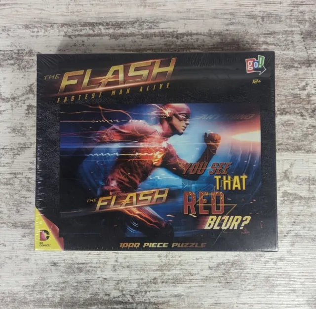 Go! Games DC Comics The Flash Fastest Man Alive 1000 Piece Jigsaw Puzzle