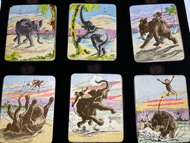 Coffret Lanterne Magique Ancienne Début XXe Avec Plaques - Tôle Et Laiton