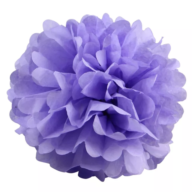 Tissue Paper Pompoms Pom Poms Hanging Flower Balls  Wedding Decoration-10Pack