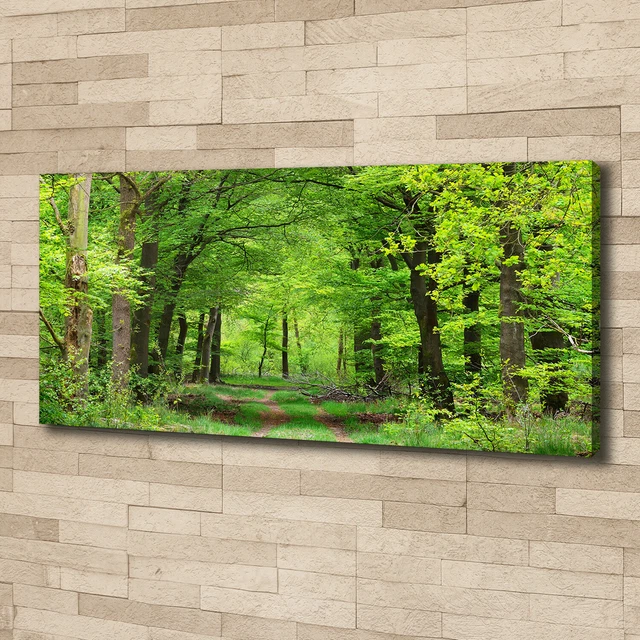 Tableau Tulup 120x60cm Toile Imprimée - Paysage De Printemps Moderne