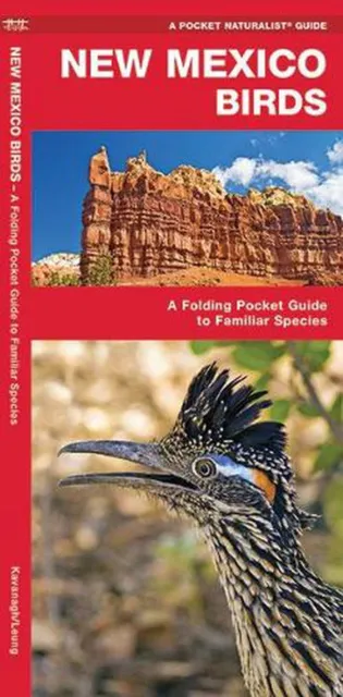 New Mexico Birds: A Folding Pocket Guide to Familiar Species by James Kavanagh (