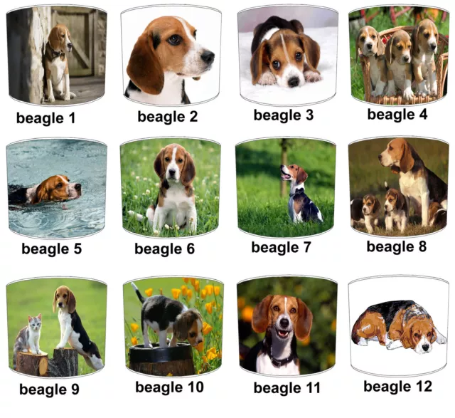 Perro Beagle Diseños Pantallas a Juego Con Ropa de Cama Edredones Cortinas Cojín