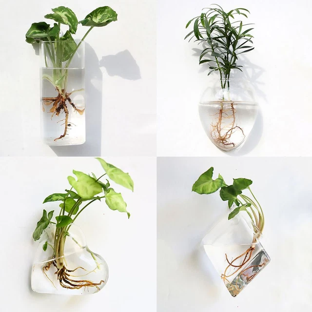 Fashion Wall Hanging Glass Flower Vase Terrarium Wall Fish Tank Aquarium Contain 2