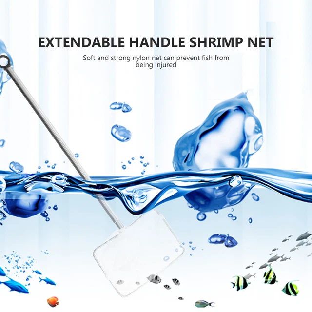 2 Count Fish Tank Fishing Net Metal Child Shrimp Gill Aquarium Skimming 3