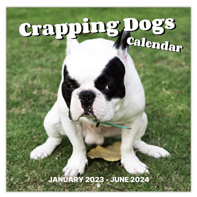1 PIECE 2024 Wall Calendar2024 Calendar Jan 2024Dec 2024 Funny Gag