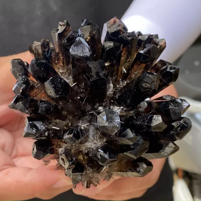 586G New Find black Phantom Quartz Crystal Cluster Mineral Specimen Healing