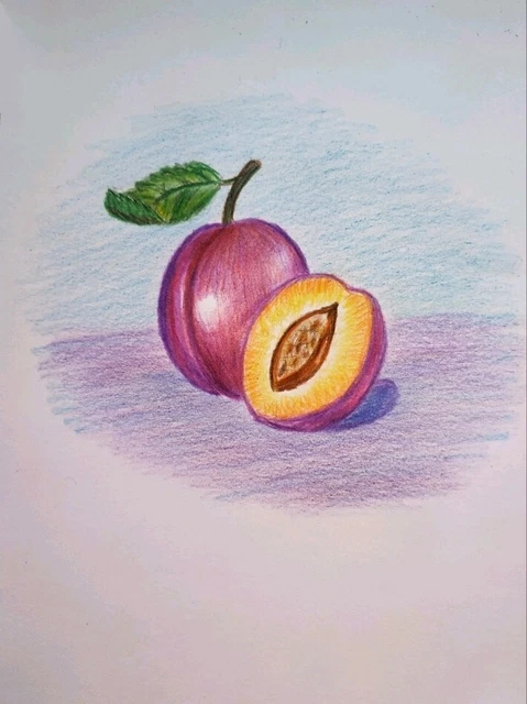 plums Original  art drawings signed by the ar with color FruitArt  UKRAINE 8х6