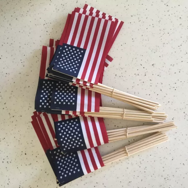 -40- 4X6 COTTON MADE IN AMERICAN HAND STICK FLAGS. Benefits End to Epilepsy!