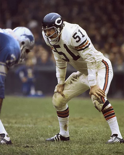 Dick Butkus 1971 Chicago Bears Hof 8X10 Photo #2